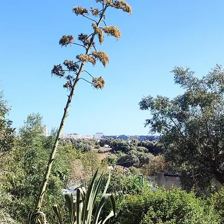 Apartament Casa Dos Peixes