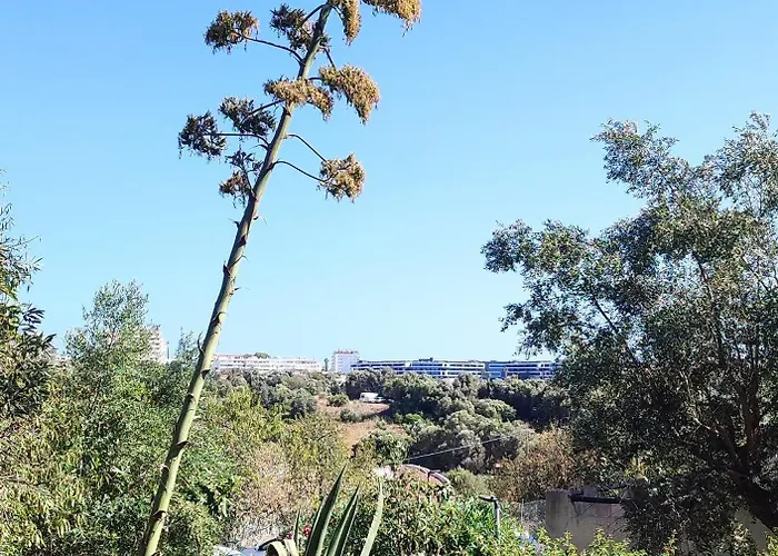 Apartament Casa Dos Peixes